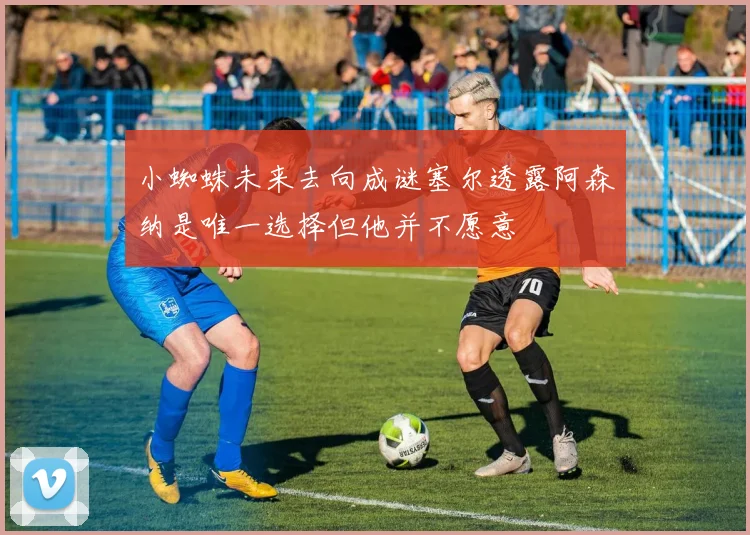 小蜘蛛未来去向成谜塞尔透露阿森纳是唯一选择但他并不愿意